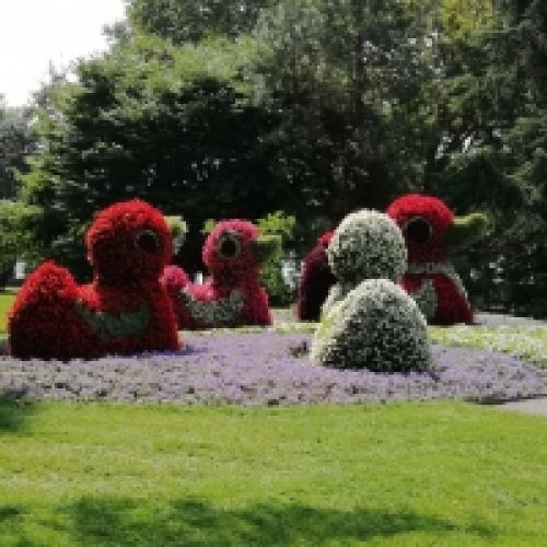 ГЕРМАНИЯ - долината на река Рейн – комбинирано пътуване със самолет и автобус!