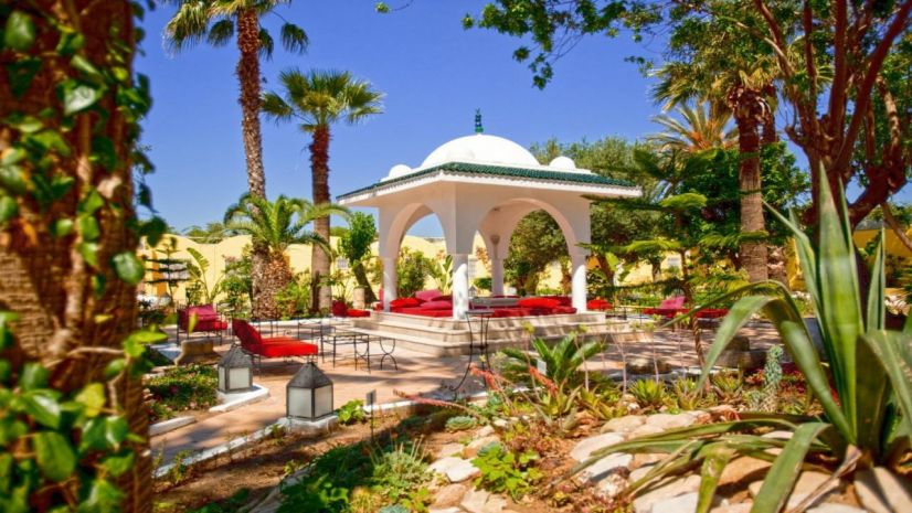 SIMBA CLUB - Samira Club Standard
